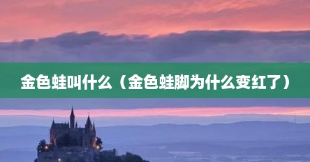 金色蛙叫什么（金色蛙脚为什么变红了）