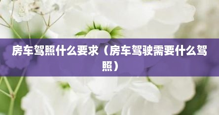 房车驾照什么要求（房车驾驶需要什么驾照）