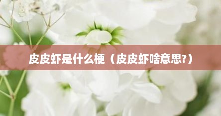 皮皮虾是什么梗（皮皮虾啥意思?）