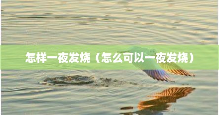 怎样一夜发烧（怎么可以一夜发烧）