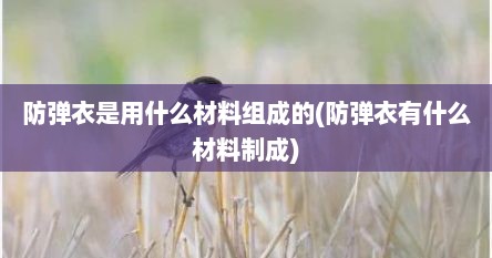 防弹衣是用什么材料组成的(防弹衣有什么材料制成)