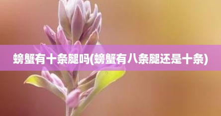螃蟹有十条腿吗(螃蟹有八条腿还是十条)