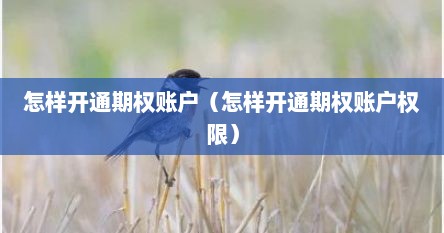 怎样开通期权账户（怎样开通期权账户权限）