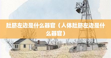 肚脐左边是什么器官（人体肚脐左边是什么器官）