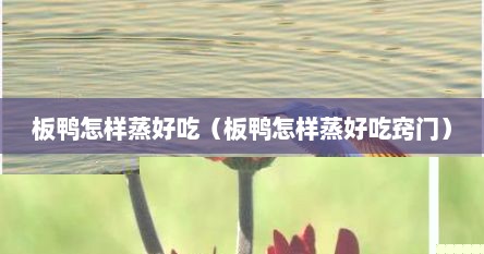 板鸭怎样蒸好吃（板鸭怎样蒸好吃窍门）