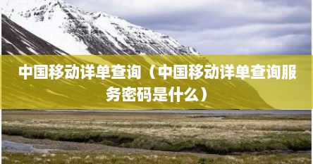 中国移动详单查询（中国移动详单查询服务密码是什么）