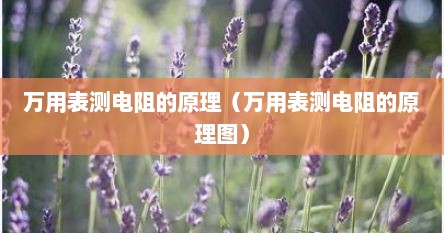 万用表测电阻的原理（万用表测电阻的原理图）