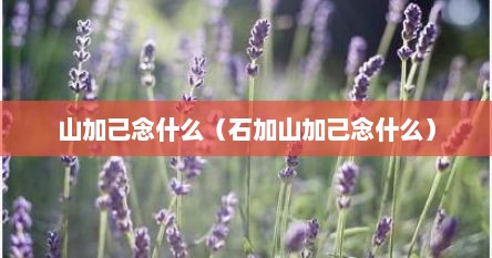 山加己念什么（石加山加己念什么）