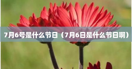 7月6号是什么节日（7月6日是什么节日啊）