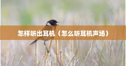 怎样听出耳机（怎么听耳机声场）