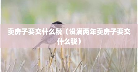 卖房子要交什么税（没满两年卖房子要交什么税）