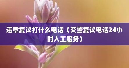 违章复议打什么电话（交警复议电话24小时人工服务）