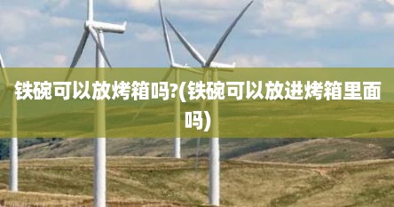 铁碗可以放烤箱吗?(铁碗可以放进烤箱里面吗)