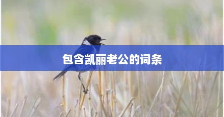 包含凯丽老公的词条