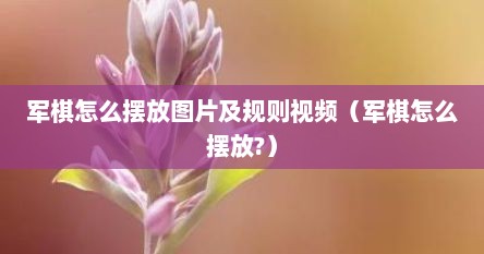 军棋怎么摆放图片及规则视频（军棋怎么摆放?）