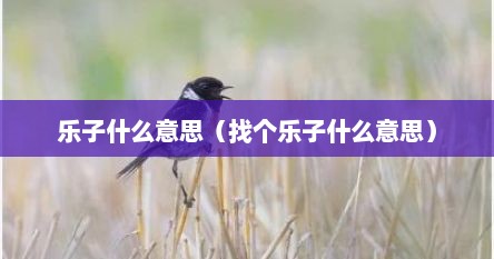 乐子什么意思（找个乐子什么意思）