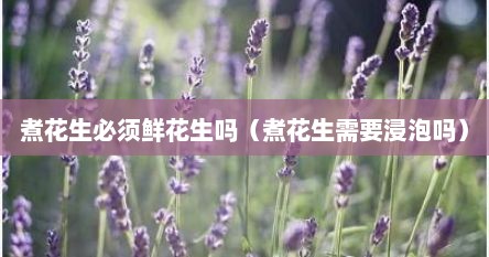 煮花生必须鲜花生吗（煮花生需要浸泡吗）