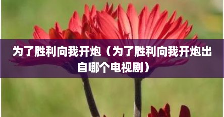 为了胜利向我开炮（为了胜利向我开炮出自哪个电视剧）