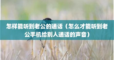 怎样能听到老公的通话（怎么才能听到老公手机给别人通话的声音）