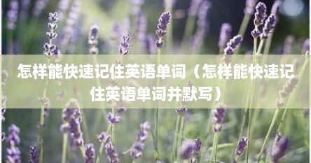 怎样能快速记住英语单词（怎样能快速记住英语单词并默写）