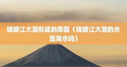 钱塘江大潮形成的原因（钱塘江大潮的水是海水吗）