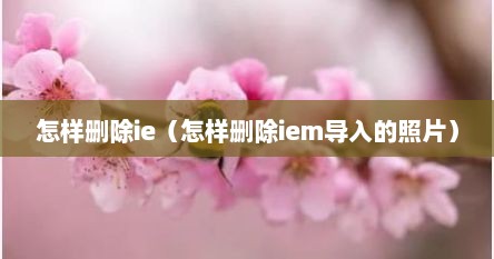怎样删除ie（怎样删除iem导入的照片）