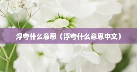 浮夸什么意思（浮夸什么意思中文）
