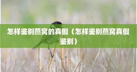 怎样鉴别燕窝的真假（怎样鉴别燕窝真假鉴别）