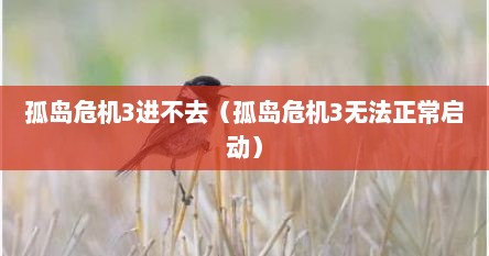 孤岛危机3进不去（孤岛危机3无法正常启动）