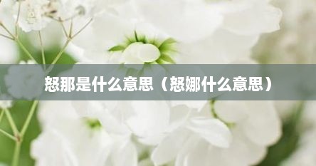 怒那是什么意思（怒娜什么意思）