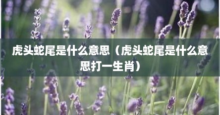 虎头蛇尾是什么意思（虎头蛇尾是什么意思打一生肖）