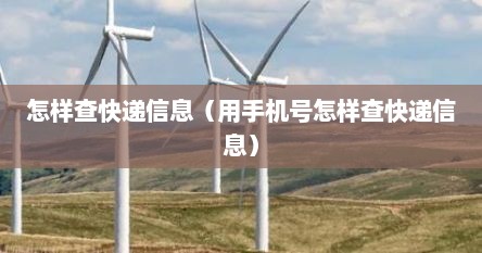 怎样查快递信息（用手机号怎样查快递信息）