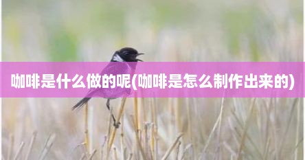 咖啡是什么做的呢(咖啡是怎么制作出来的)