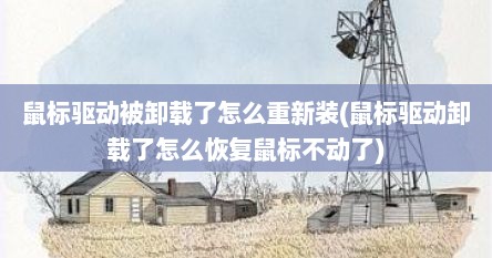 鼠标驱动被卸载了怎么重新装(鼠标驱动卸载了怎么恢复鼠标不动了)