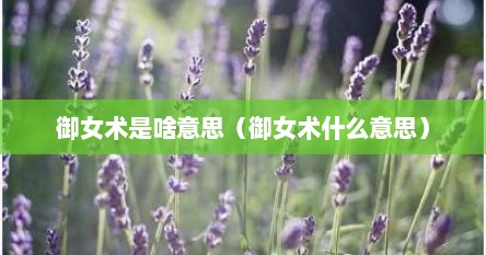 御女术是啥意思（御女术什么意思）