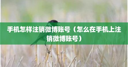 手机怎样注销微博账号（怎么在手机上注销微博账号）