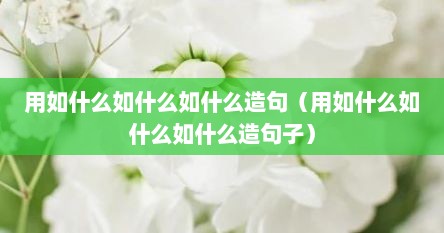 用如什么如什么如什么造句（用如什么如什么如什么造句子）