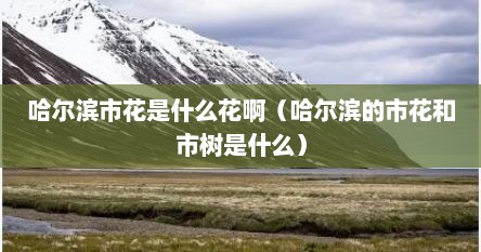 哈尔滨市花是什么花啊（哈尔滨的市花和市树是什么）