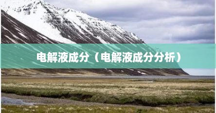 电解液成分（电解液成分分析）