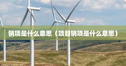 销项是什么意思（项目销项是什么意思）