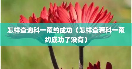 怎样查询科一预约成功（怎样查看科一预约成功了没有）