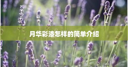 月华彩漆怎样的简单介绍