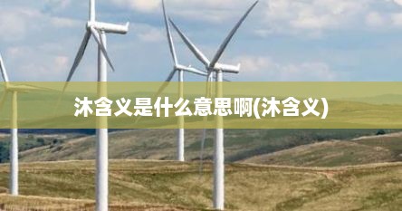 沐含义是什么意思啊(沐含义)