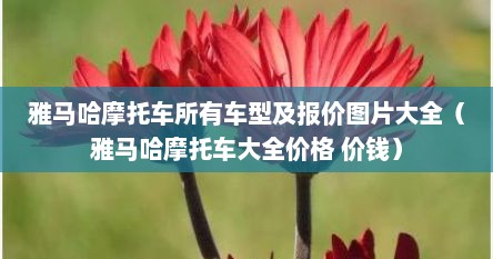 雅马哈摩托车全部车型价格表（雅马哈摩托车全系列价目表及图片）