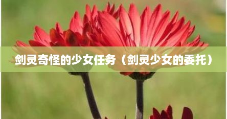 剑灵奇怪的少女任务（剑灵少女的委托）