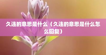 久违的意思是什么（久违的意思是什么怎么回复）