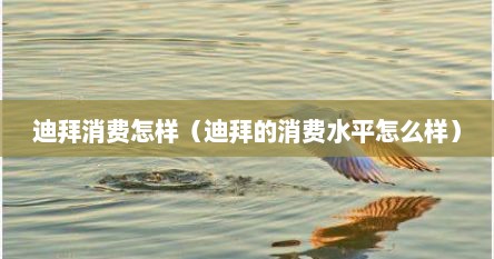 迪拜消费怎样（迪拜的消费水平怎么样）