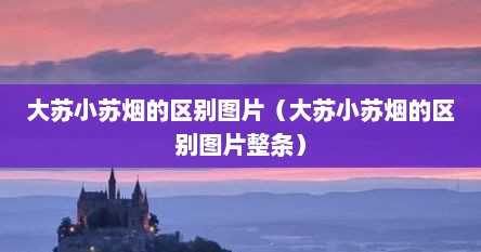大苏小苏烟的区别图片（大苏小苏烟的区别图片整条）