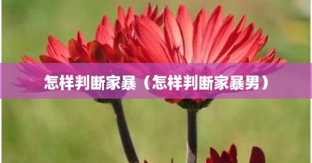 怎样判断家暴（怎样判断家暴男）