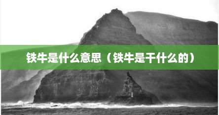 铁牛tie（铁牛是干嘛的）
